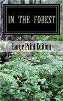In the Forest