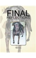 Final Reflections
