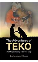 Adventures of TEKO: His Magic of Being a Service Dog