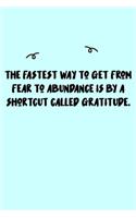 The fastest way to get from fear to abundance is by a shortcut called gratitude. Journal