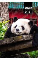 Panda Bear Week Planner Weekly Organizer Calendar 2020 / 2021 - Too Tired