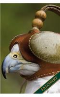 Falconry