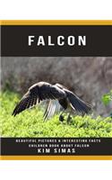 Falcon