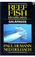 Reef Fish Identification