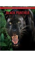 Black Panther: A Picture Book about Black Panther and Their Babies