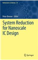 System Reduction for Nanoscale IC Design