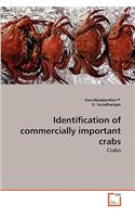 Identification of commercially important crabs