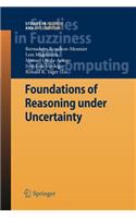 Foundations of Reasoning Under Uncertainty