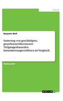 Sanierung von geschädigten, grundwasserüberstauten Tiefgaragenbauteilen. Instandsetzungsverfahren im Vergleich