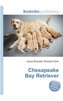 Chesapeake Bay Retriever