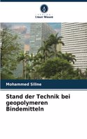 Stand der Technik bei geopolymeren Bindemitteln