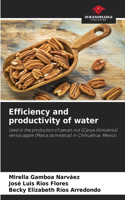 Efficiency and productivity of water