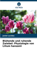 Blühende und ruhende Zwiebel: Physiologie von Lilium hansonii