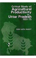 Critical Study of Agricultural Productivity in Uttar Pradesh 1951-1975