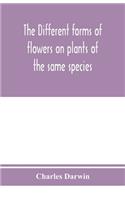 The different forms of flowers on plants of the same species