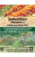 Seabuckthorn (Hippophae L.)