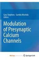 Modulation of Presynaptic Calcium Channels