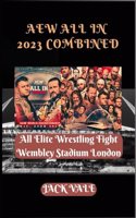 AEW All In 2023 Combined