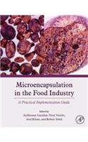 Microencapsulation in the Food Industry: A Practical Implementation Guide