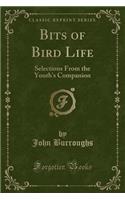 Bits of Bird Life: Selections from the Youth's Companion (Classic Reprint)