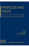 Particles and Fields: Tenth Mexican School on Particles and Field, Playa del Carmen, Quintana Roo, M Xico, 30 October - 6 November 2002