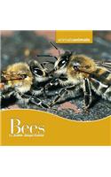 Bees