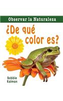 ¿De Qué Color Es? (What Color Is It?)