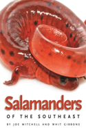 Salamanders of the Southeast