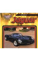 Story of Jaguar