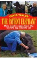 PATIENT ELEPHANT, MORE EXOTIC