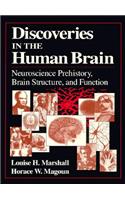Discoveries in the Human Brain