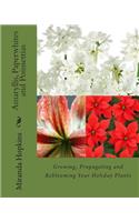 Amaryllis, Paperwhites and Poinsettias