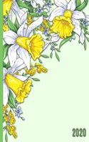 A Bouquet of Daffodil Flowers