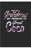 Only the Best Grandmas Get Promoted to Great Coco