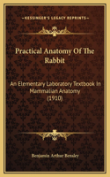 Practical Anatomy Of The Rabbit: An Elementary Laboratory Textbook In Mammalian Anatomy (1910)