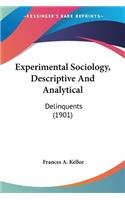 Experimental Sociology, Descriptive And Analytical