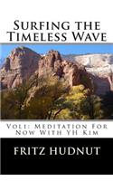 Surfing the Timeless Wave (Vol1): Meditation For Now With YH Kim