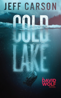 Cold Lake: (5 David Wolf Mystery Thriller)