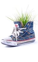Mind Blowing Grass In Old Shoe Journal: 150 page lined journal