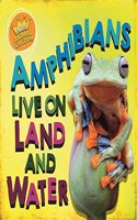 IN THE ANIMAL KINGDOM AMPHIBIANS L