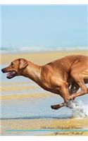 Rhodesian Ridgeback Affirmations Workbook Rhodesian Ridgeback Presents: Positive and Loving Affirmations Workbook. Includes: Mentoring Questions, Guidance, Supporting You.