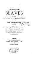 Les Nationalitiés Slaves, Lettres au Révérend P. Gagarin