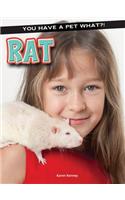 Rat