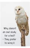 Why doesn't an owl study for a test? - They prefer to wing it.
