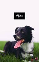 Border Collie Dog Pup Puppy Doggie Notebook Bullet Journal Diary Composition Book Notepad - Relax in Meadow: Cute Animal Pet Owner Composition Book with 100 Dotted Dot Grid Paper Pages in 6" x 9" Inch