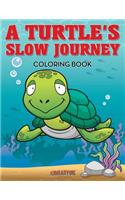 A Turtle's Slow Journey Coloring Book