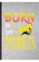 Born to Pet Havanese Forced to Work