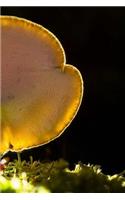 Mushroom Notebook