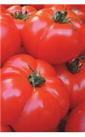 Tomatoes Notebook