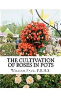 Cultivation of Roses in Pots